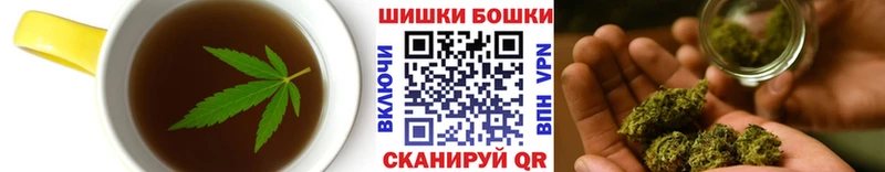 hydra ONION  Брюховецкая  Cannafood конопля 