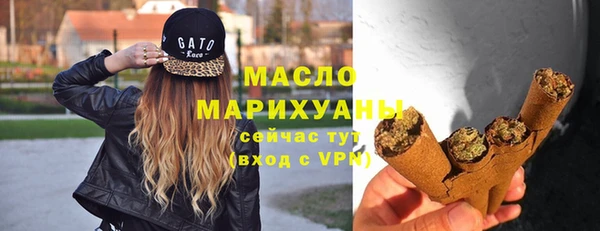 молекула духа Михайловск