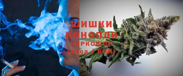 молекула духа Михайловск