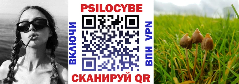 Галлюциногенные грибы MAGIC MUSHROOMS  Брюховецкая 