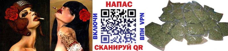 Бошки марихуана индика Брюховецкая